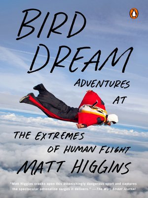 cover image of Bird Dream
